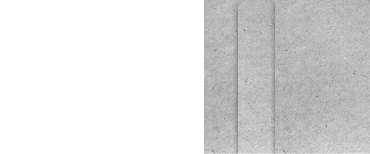 Цементно-стружечная плита (ЦСП)